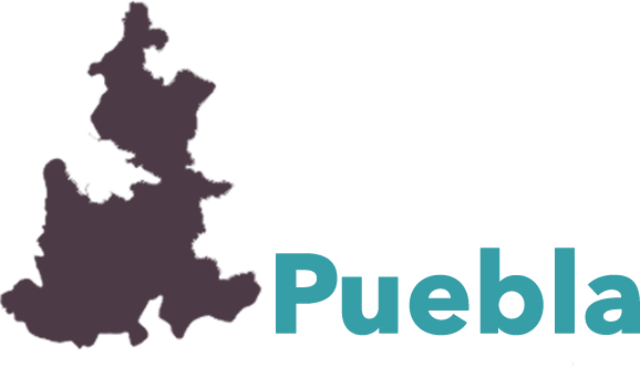 Mapa Del Estado De Puebla Descargar Pngsvg Transparente Images And